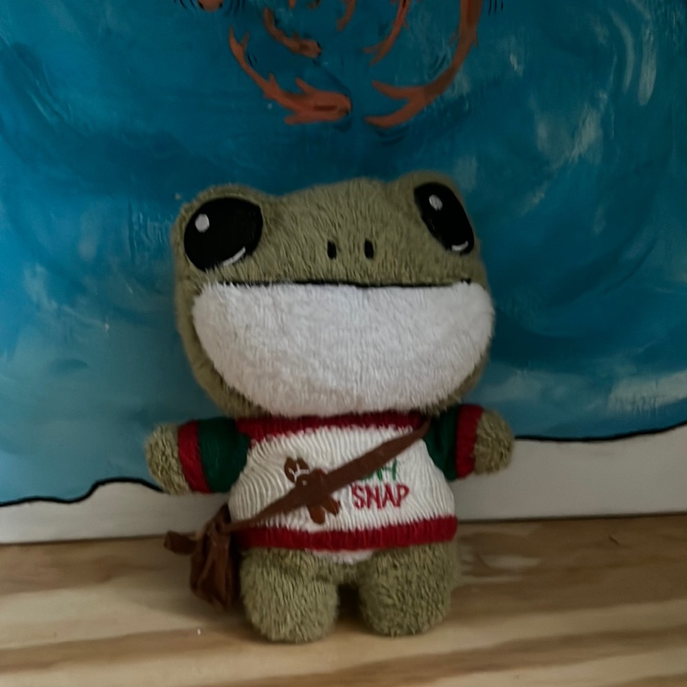 Frog stuffed animal with shirt and satchel